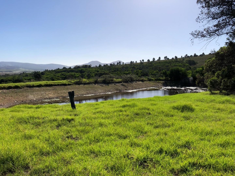 Commercial Property for Sale in Baardskeerdersbos Western Cape